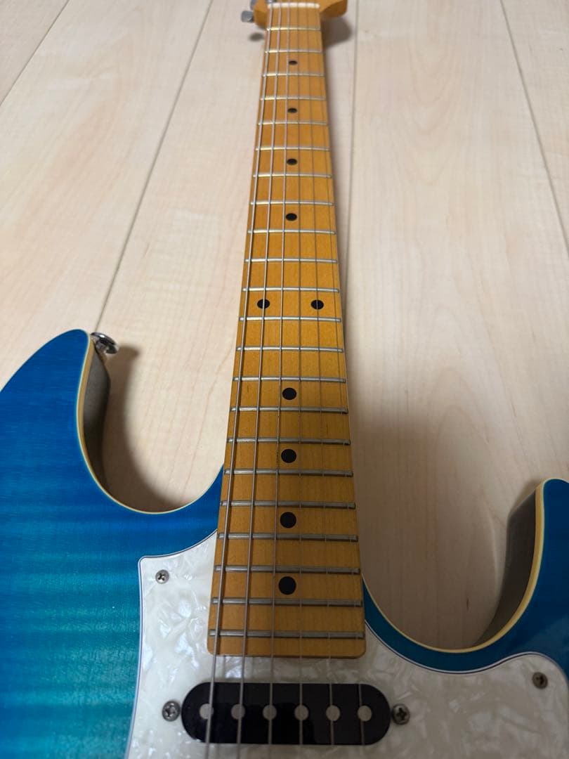 FGN フジゲン　弦2セット　ギターソフトケース付