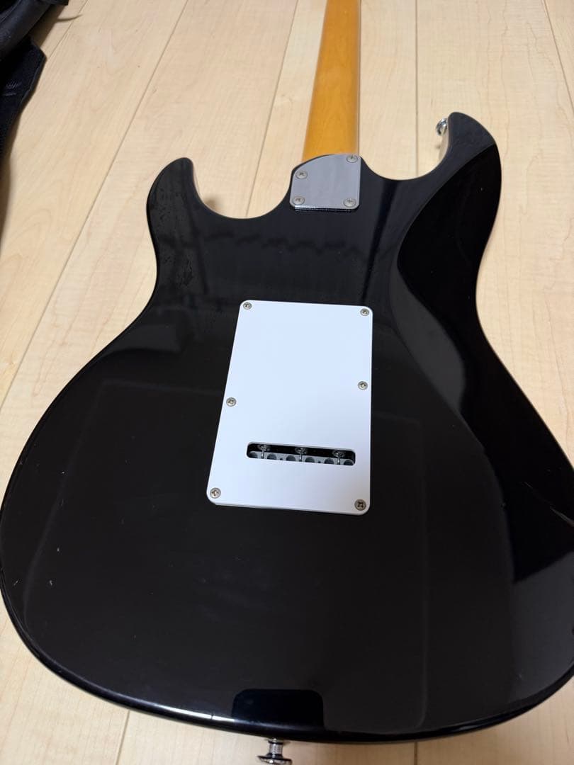 FGN フジゲン　弦2セット　ギターソフトケース付