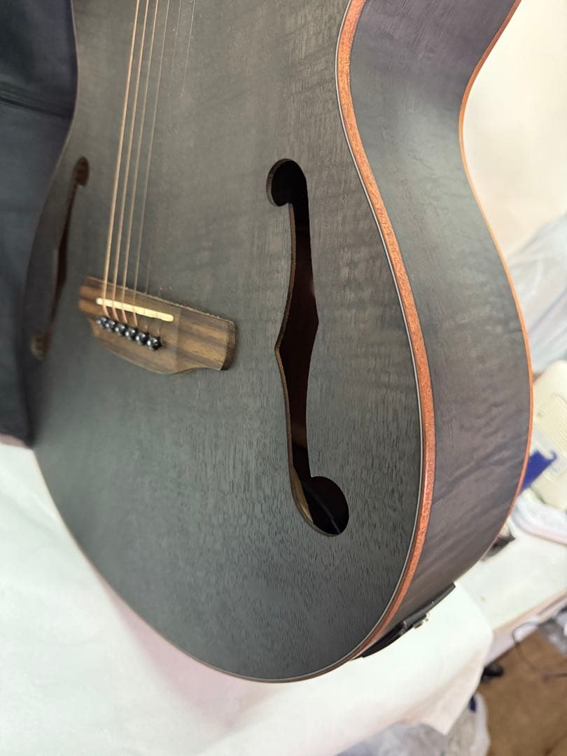 ARIA FET-F2 STBK エレアコ サテン・ブラック　ソフトカバー付き