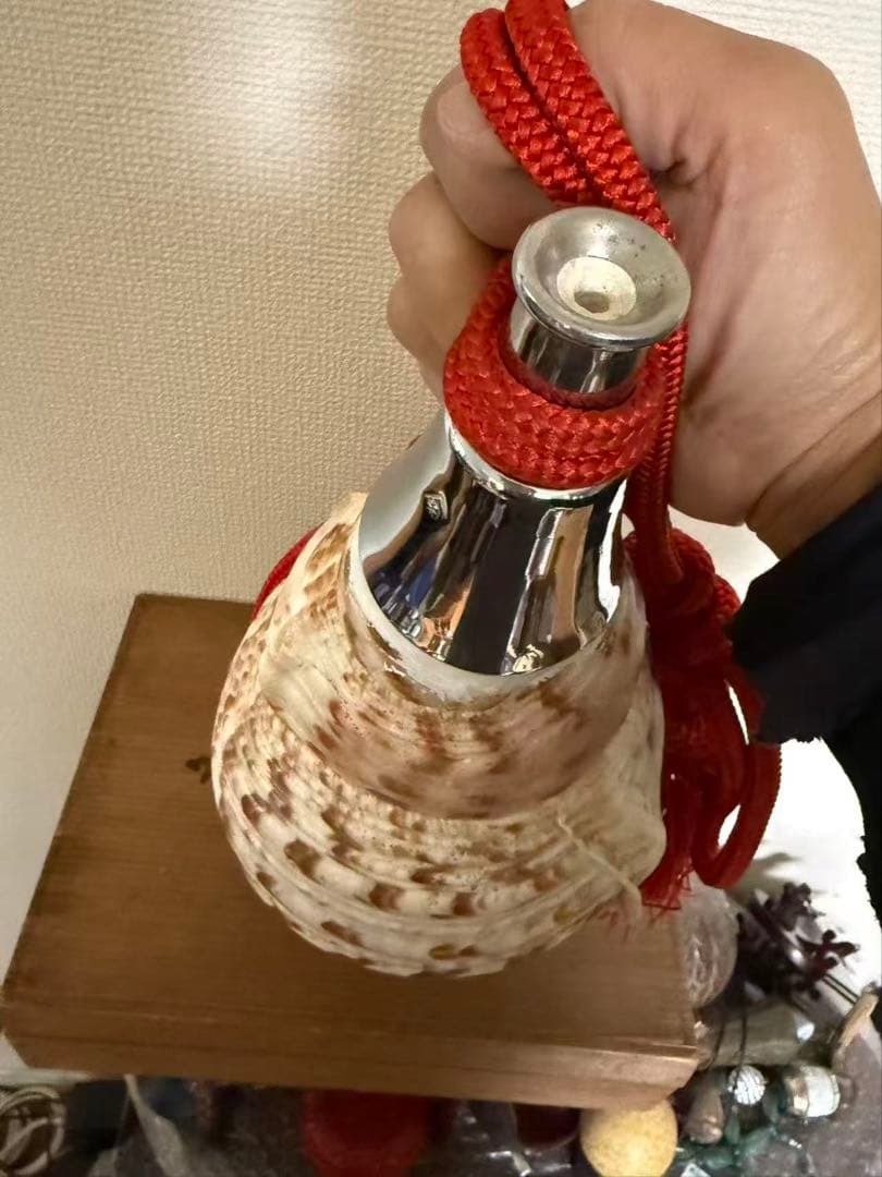 法螺貝貝全長約39cm 總1235g 笛 密教魔除け貝貝殻ホラガイホラ貝 ほら貝
