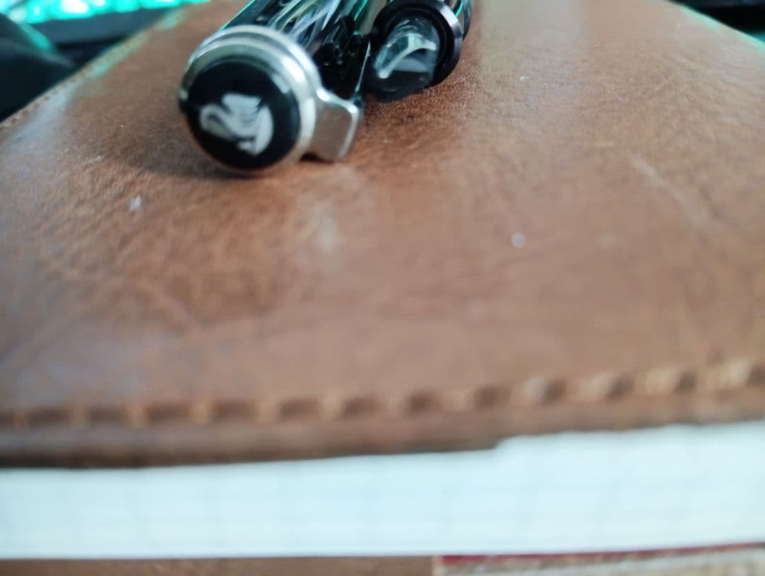 ペリカン　鉄ペン　吸引式　EF ヒナ２羽