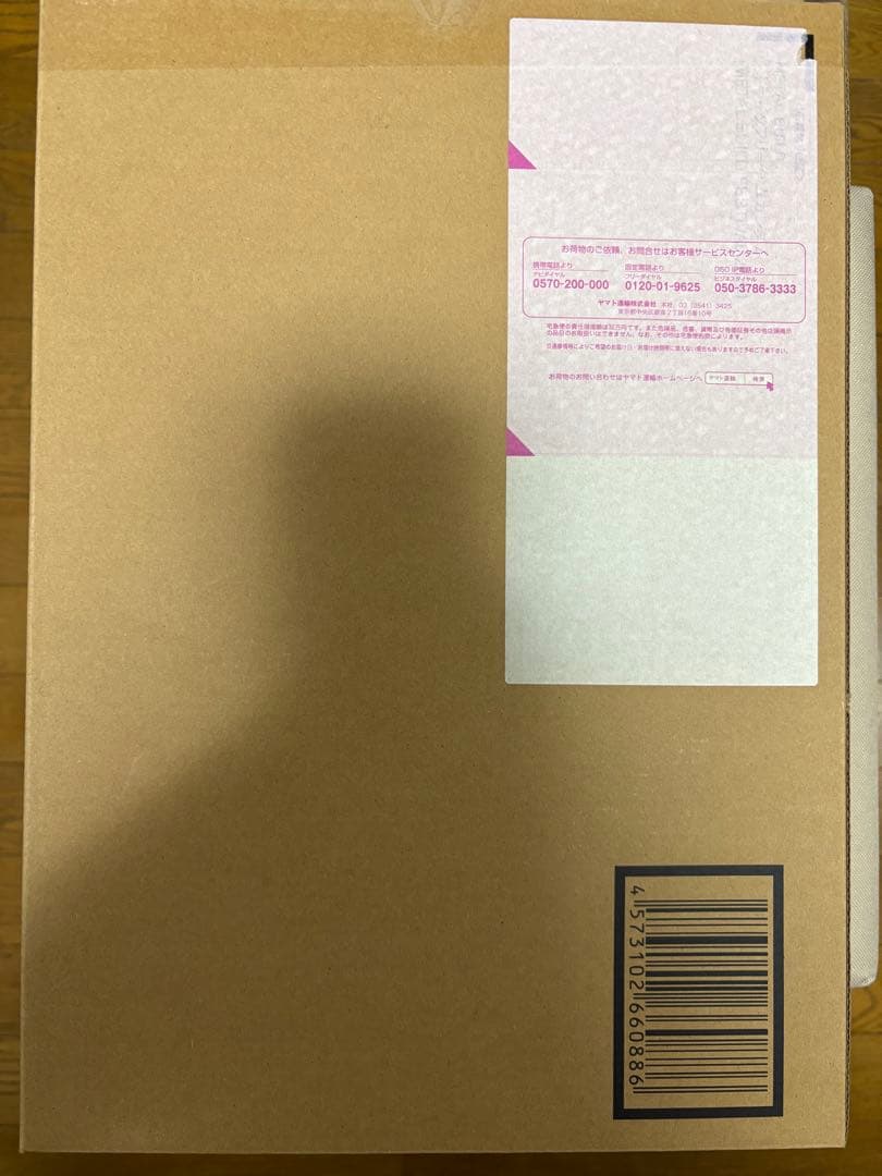 L BUILD FESTIVAL デスティニー　ストフリ　セット