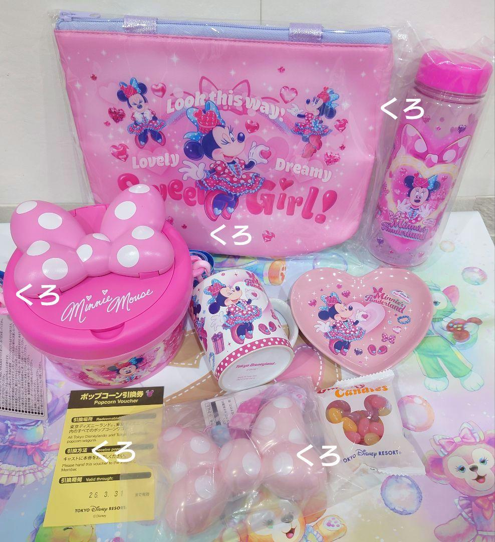 パルパルーザ♡ミニー♡スーベニア 6点セット❤ディズニーリゾート❤新作