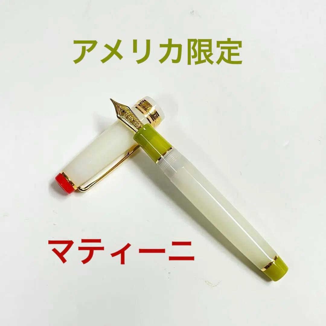 【北アメリカ限定 万年筆】新品プロギア M字 ジンマティーニ 21金