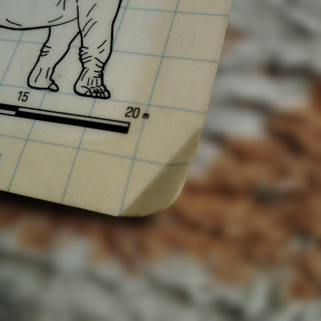 MSXワンダーランド 紙製下敷き