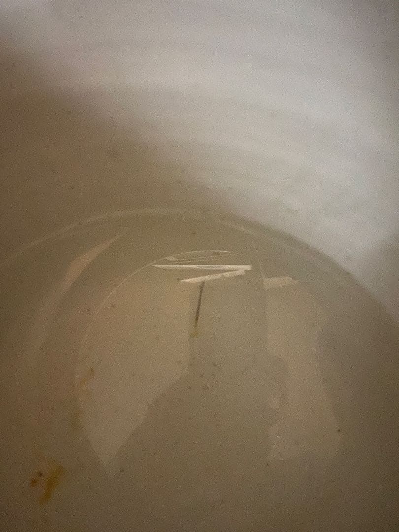 色絵唐獅子牡丹火鉢31cm37cm