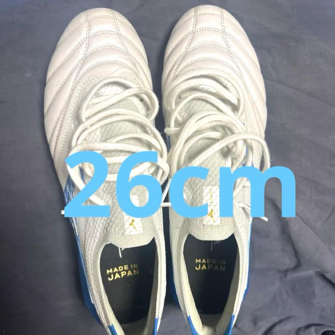 モレリアネオ４β 26㎝　希少