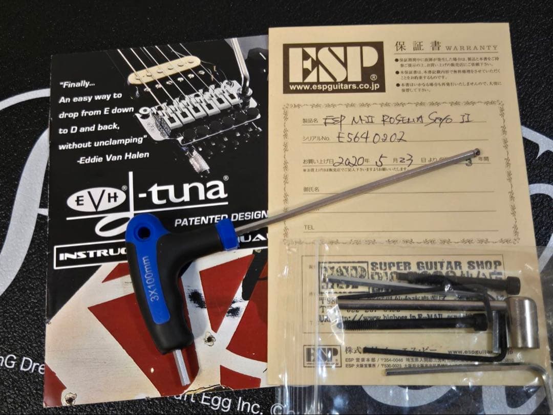 ESP M-Ⅱ SAYOⅡ FR エレキギター ハードケース付き 氷川紗夜モデル