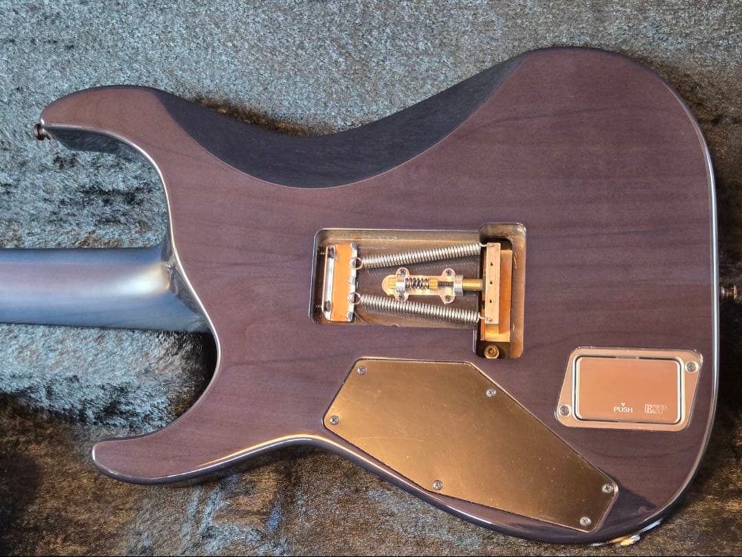 ESP M-Ⅱ SAYOⅡ FR エレキギター ハードケース付き 氷川紗夜モデル