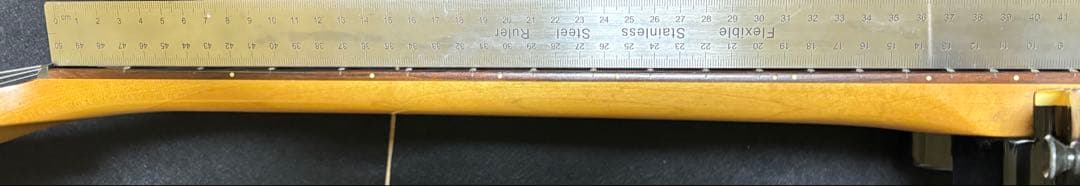 フェルナンデス TEJ LIMITED EDITION 2ハム