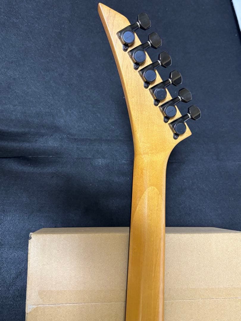 フェルナンデス TEJ LIMITED EDITION 2ハム