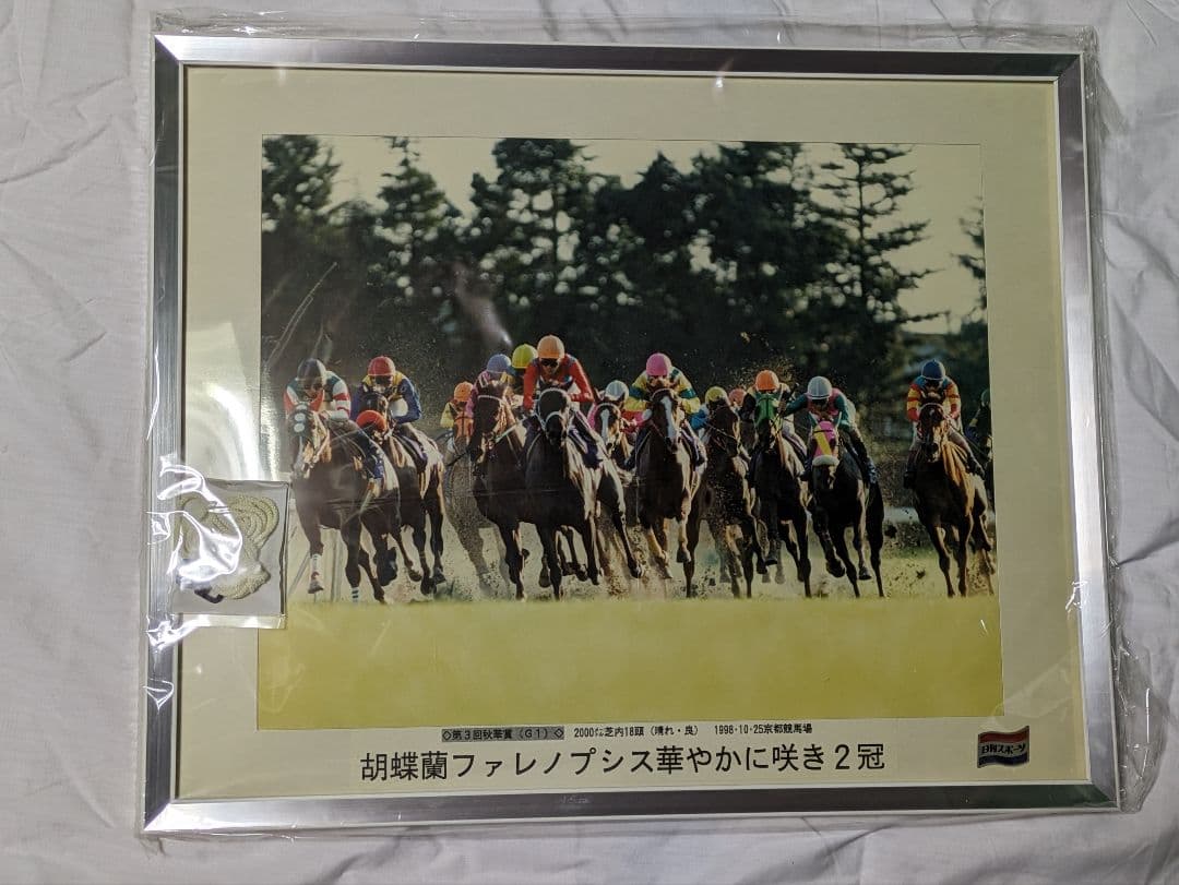 ファレノプシス　武豊　秋華賞　競走馬　写真　パネル　額縁入り　スポーツ新聞付き