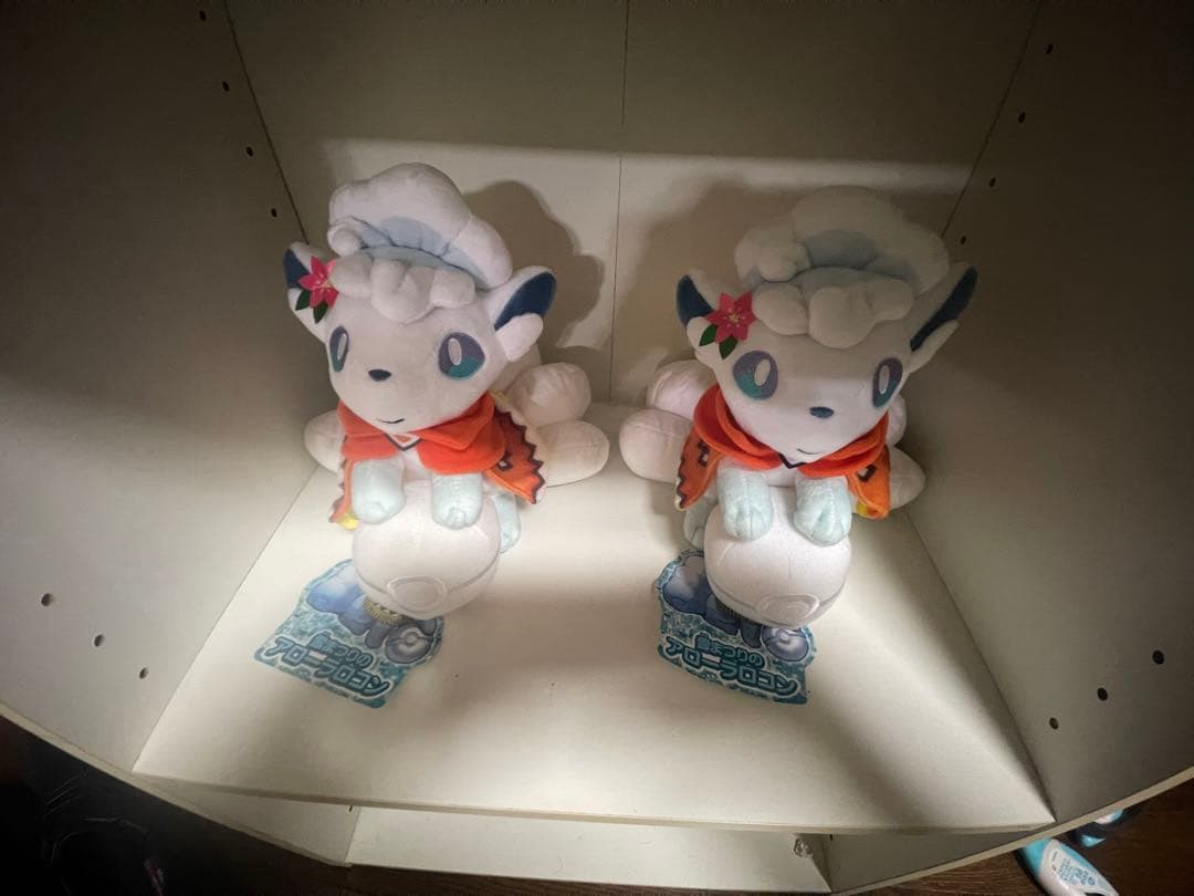 15時まで購入本日発送可　雪まつりのアローラロコン&アローラロコン　3匹セット