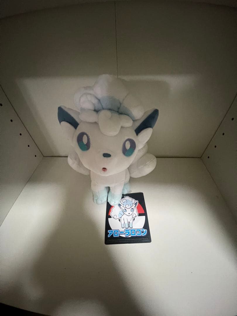 15時まで購入本日発送可　雪まつりのアローラロコン&アローラロコン　3匹セット