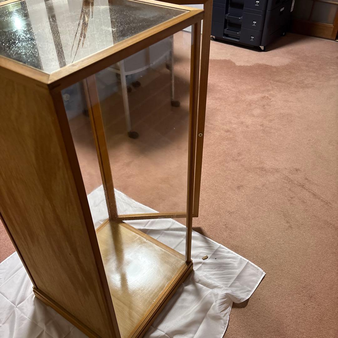 木製 鳥の彫刻 茶色と金色の羽根　雉　剥製　掘り出しもの