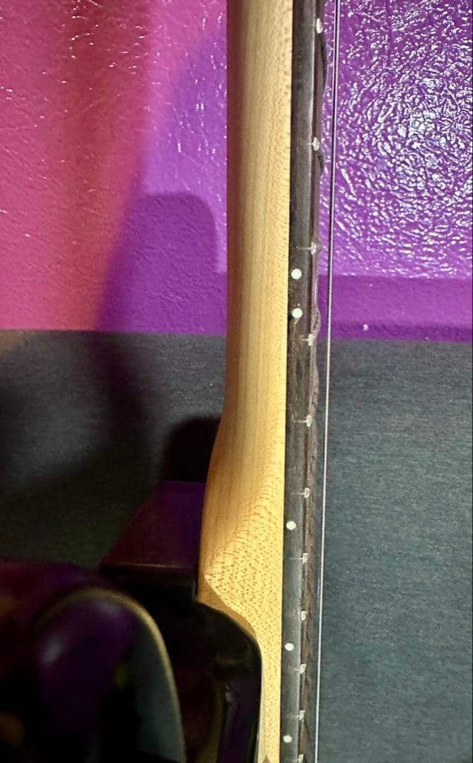 SELDER エレキギター ブラック