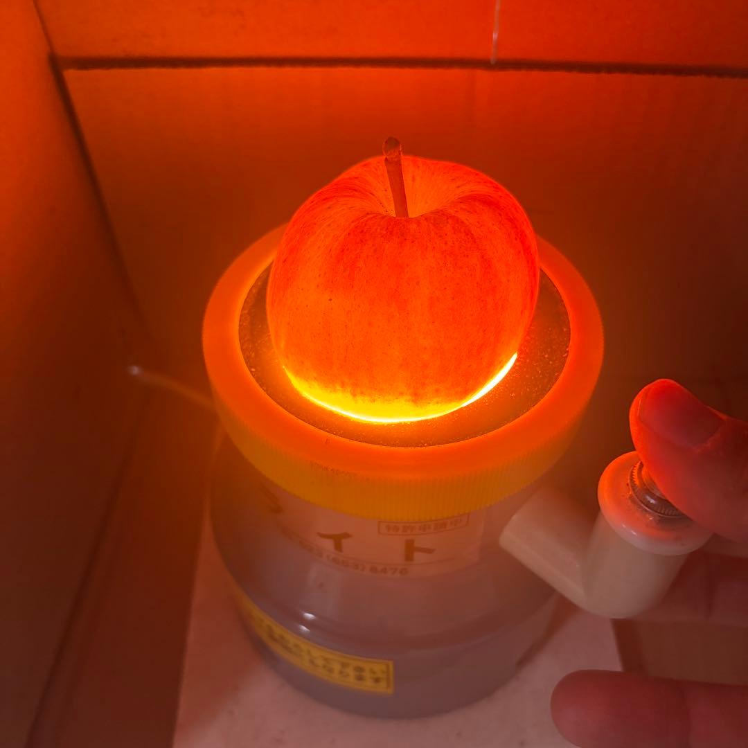 しろくま　　高徳　　リンゴ