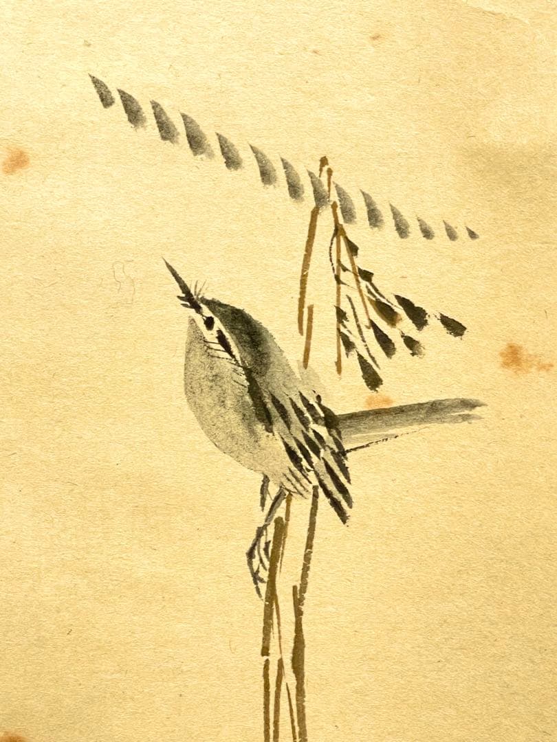 小林太玄 肉筆 掛け軸 掛軸 書 逢春暖歌声 鶯図 大徳寺 画賛 臨済宗 茶掛