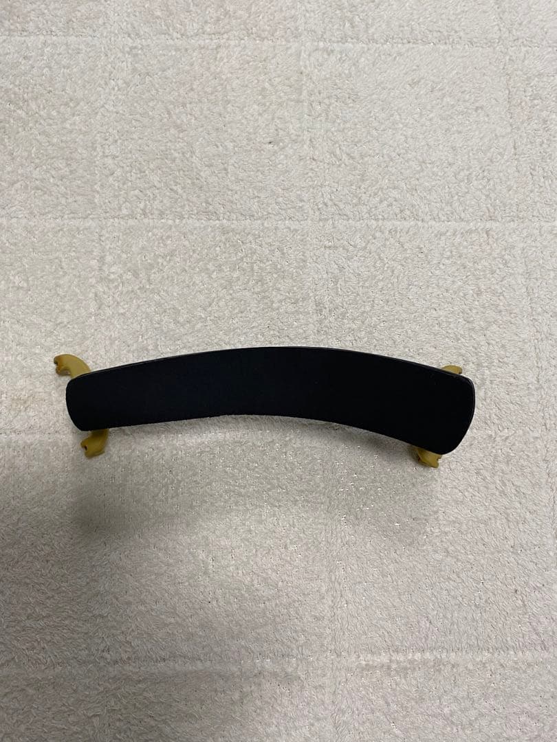 【2022年製】Andreas Eastman バイオリンVL80 1/2