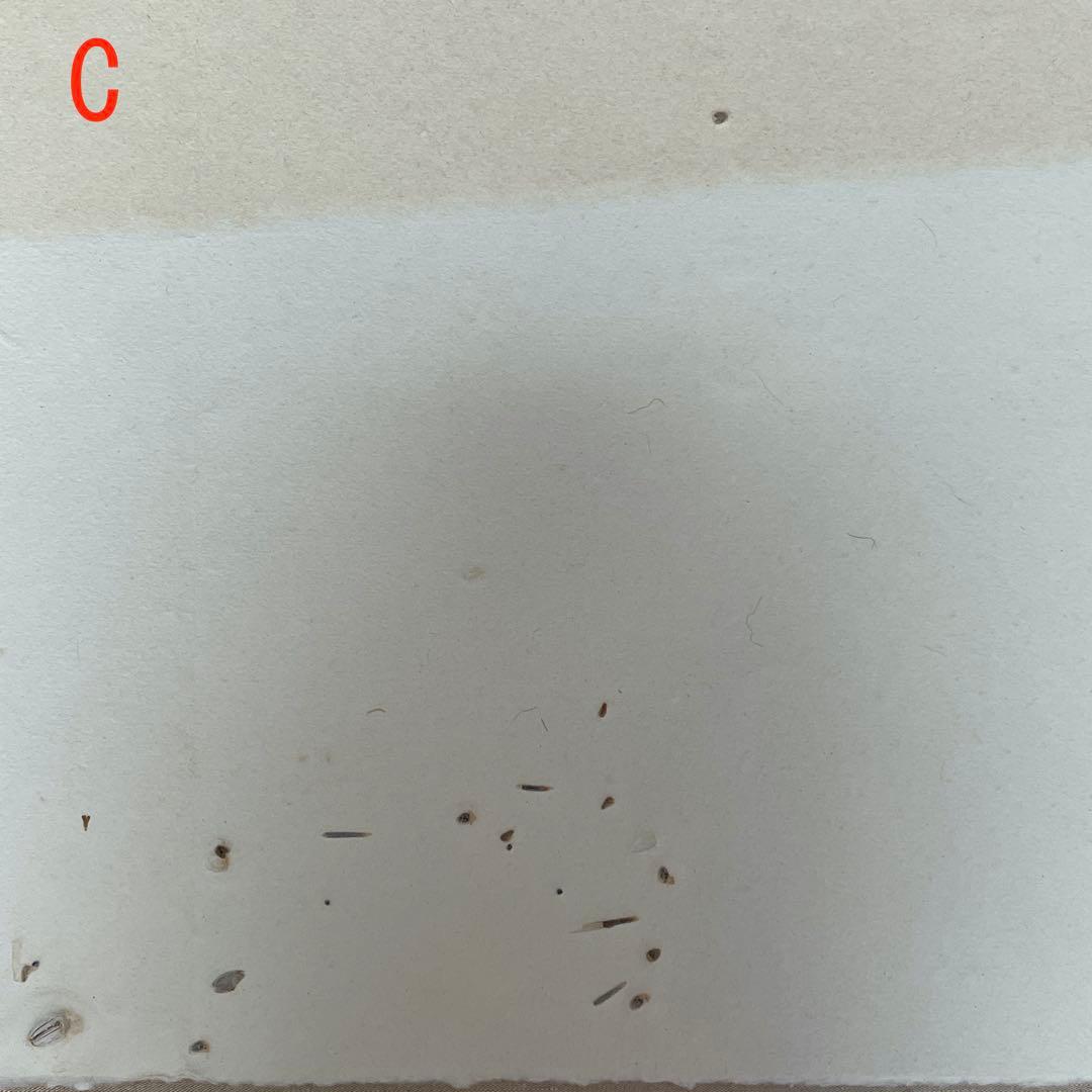 坂本龍一 「SAKAMOTO PLAYS SAKAMOTO」 額装