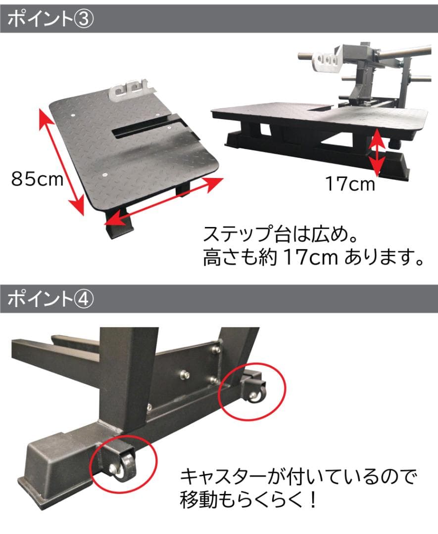 COMING TECH ベルトスクワット WILD FIT
