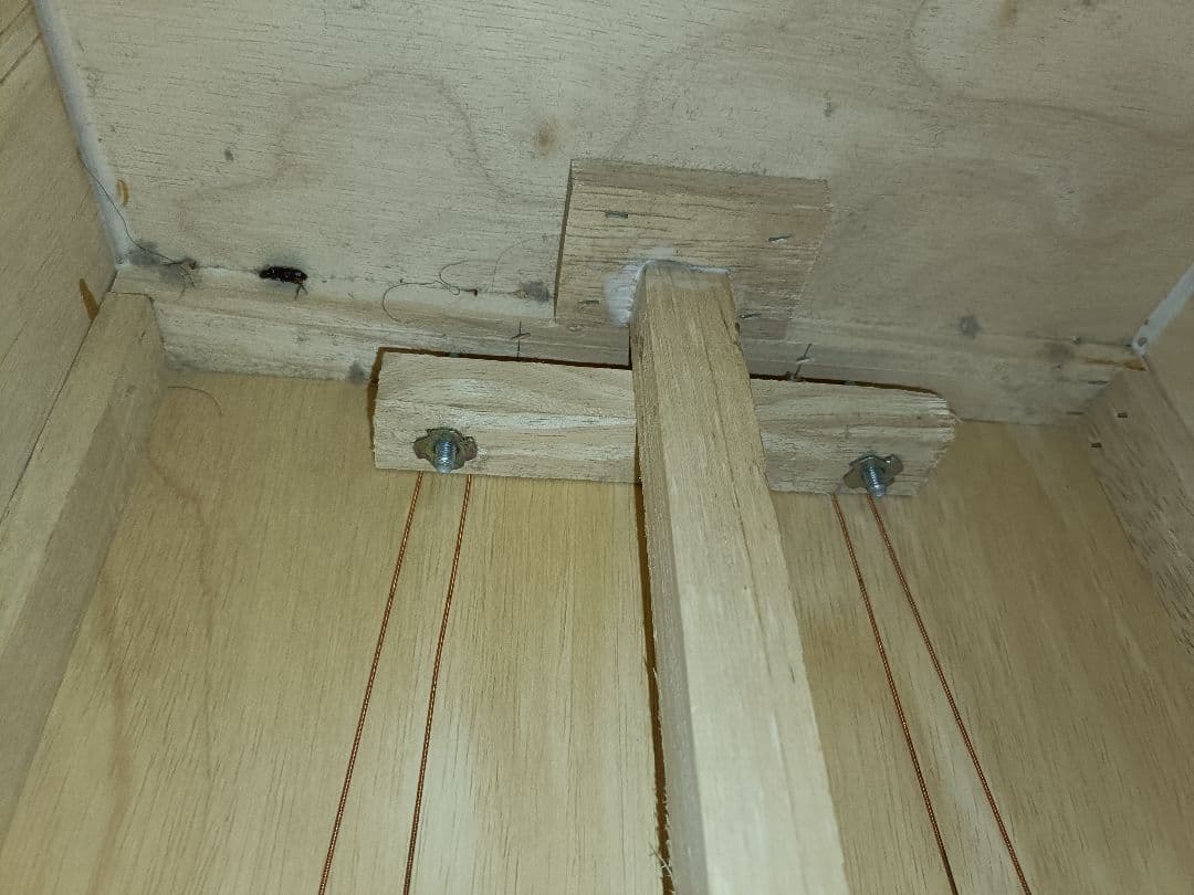 REMO クラウン・パーカッション・カホン