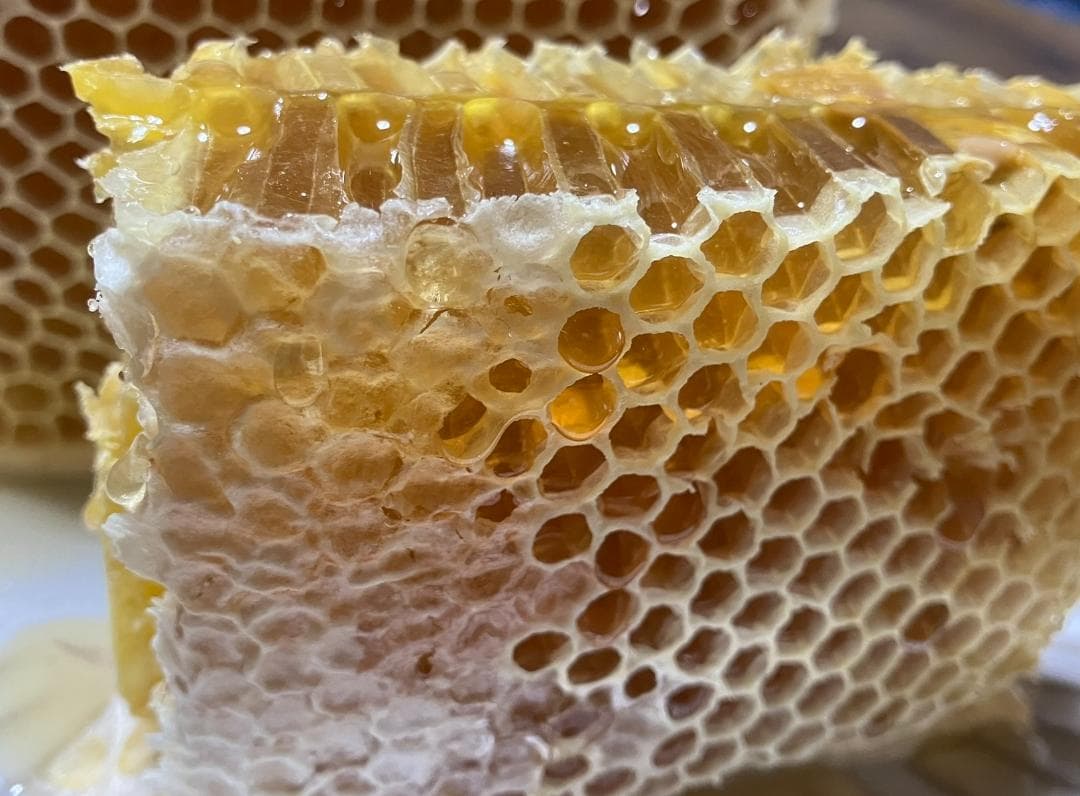 国産蜂蜜 1000g 3種 はちみつ アカシア 百花 栗蜜 セイヨウミツバチ