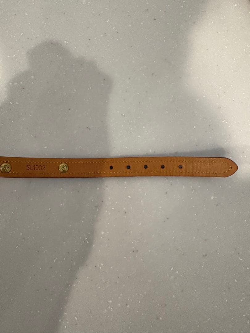 LOUIS VUITTON 小型犬用　リードセット