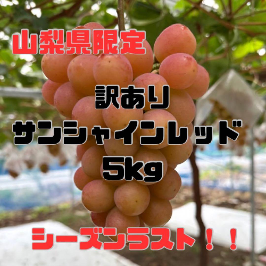【山梨県限定品種】訳ありサンシャインレッド8房〜10房入5kg以上 【産地直送】
