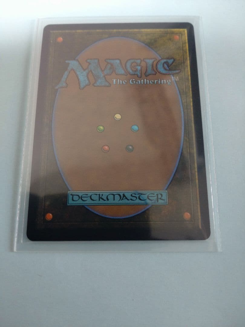 沸騰する小湖　ドラゴンスケイルfoil 土地 MTG