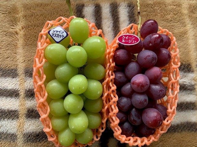 チヨン様向け商品　　　　　　　　クール便送料込み　21,000円