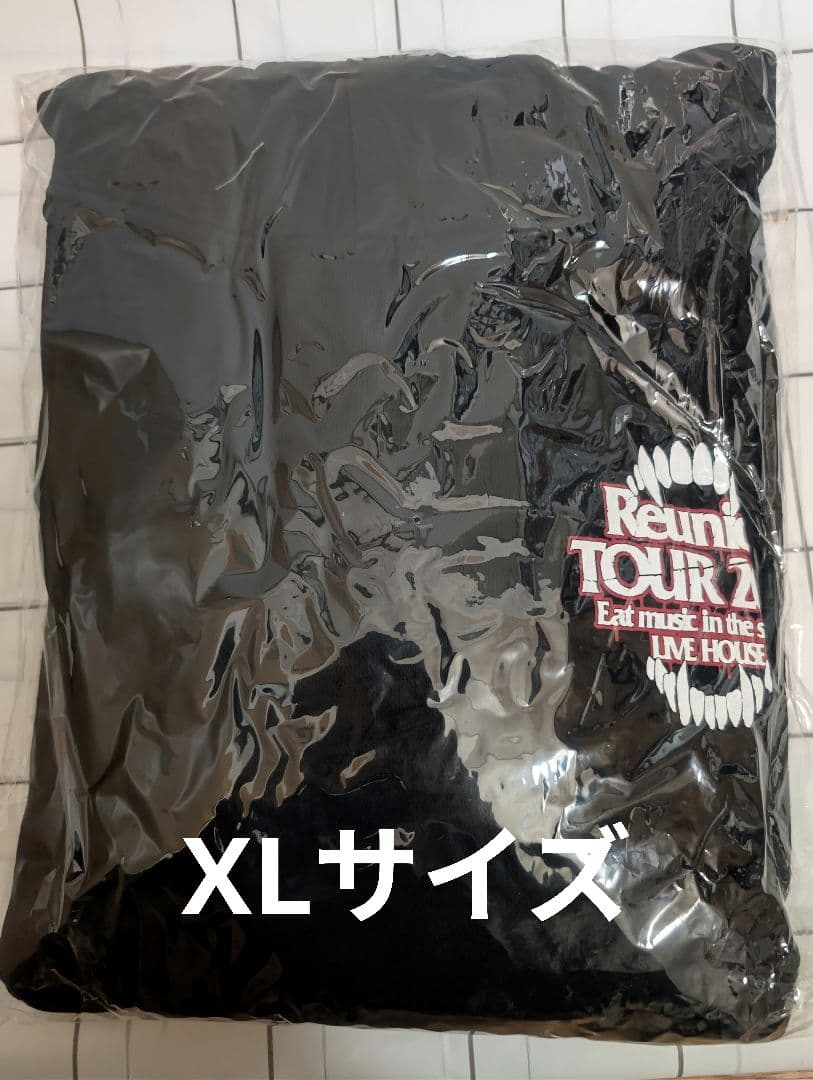 Reunion TOUR HOODIE XLサイズ