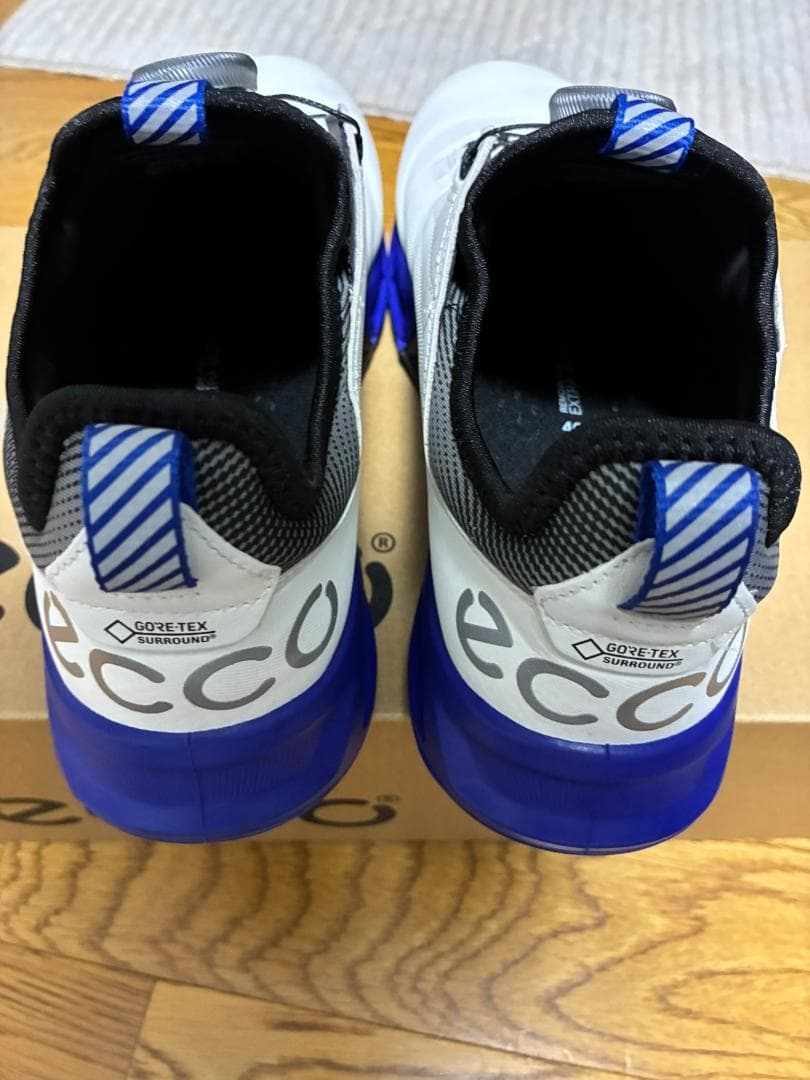 ECCO ゴルフシューズ バイオム C4 ボア BIOM C4 BOA 25cm