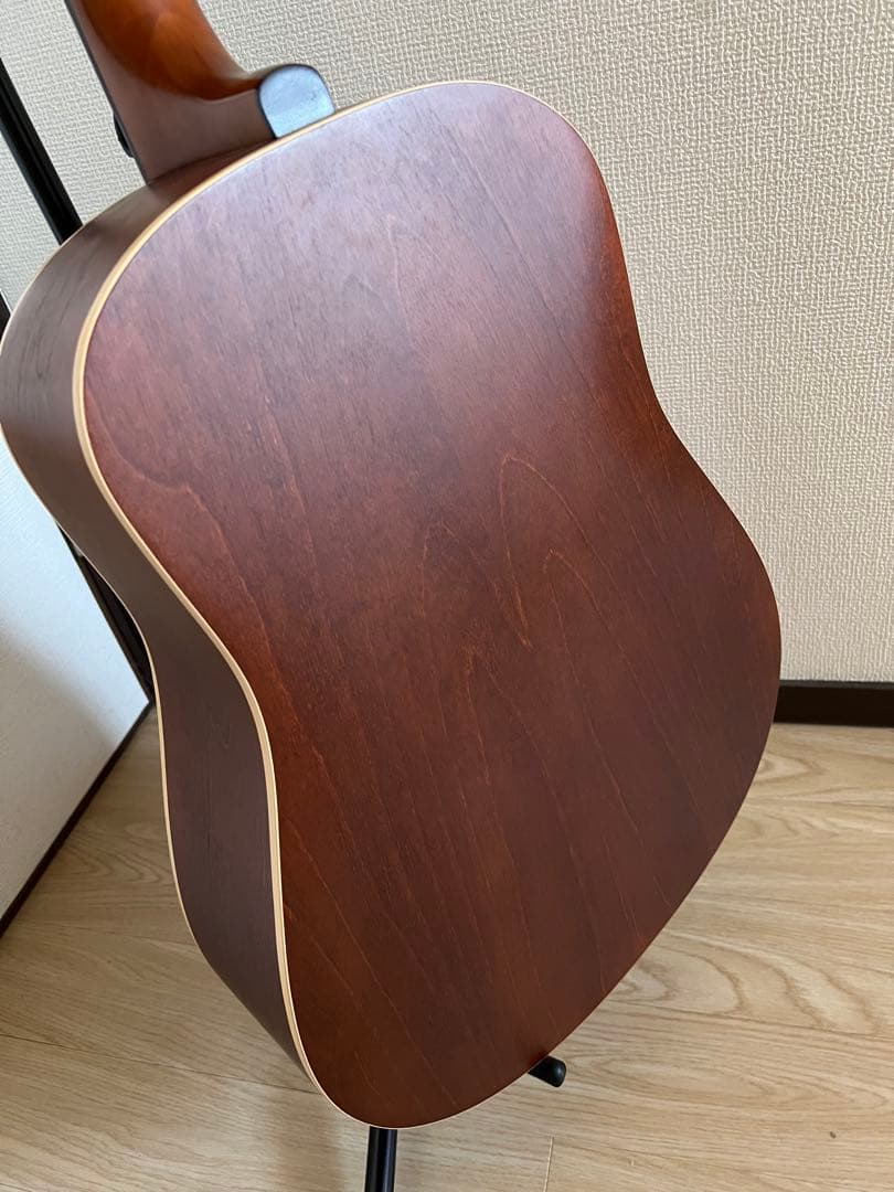 Seagull S6 + Cedar GT アコースティックギター
