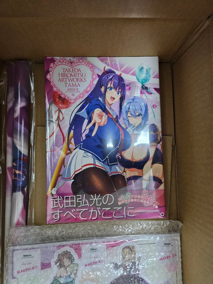 【特典付き】武田弘光 アートワークス 珠 アクスタ　タペストリー 未収録ラフ集