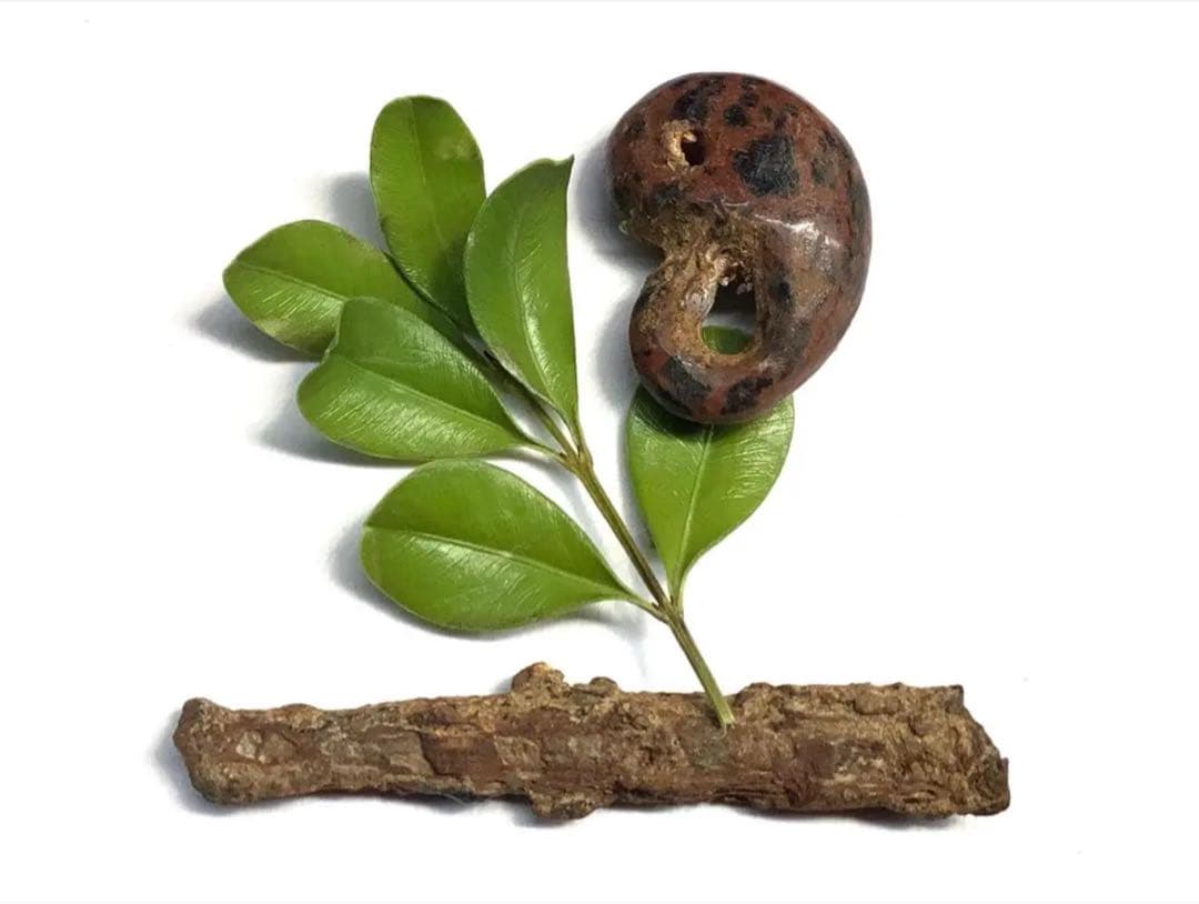 ✳時代鑑定済み鉄鏃と一緒に発掘　✳古墳期超希少【さる玉】黒曜石勾玉‼️出土古墳期