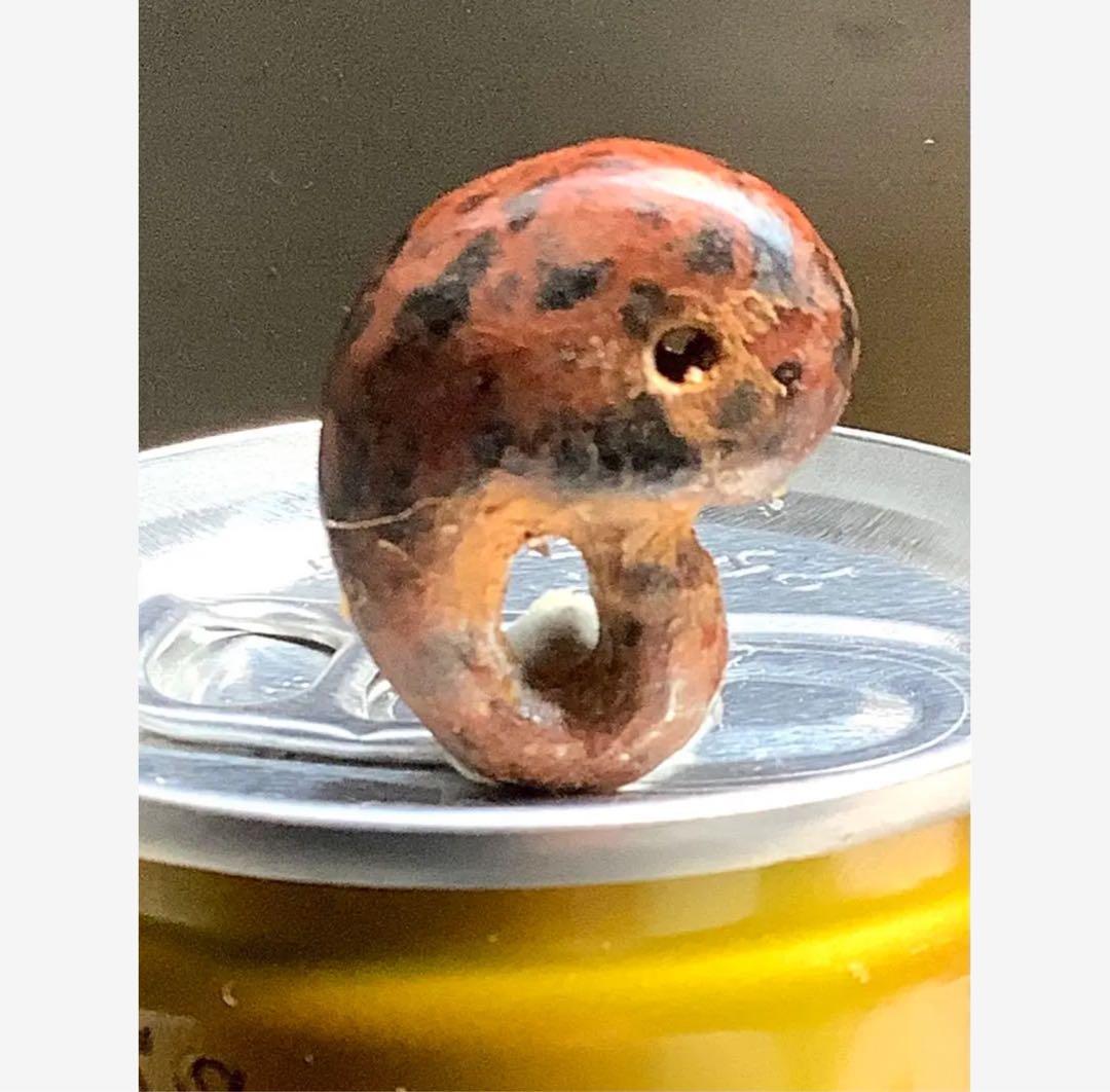 ✳時代鑑定済み鉄鏃と一緒に発掘　✳古墳期超希少【さる玉】黒曜石勾玉‼️出土古墳期