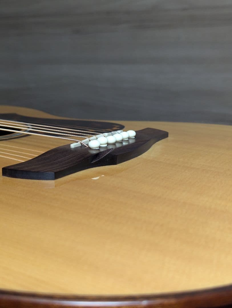 James J-800A オール単板 上位モデル エレアコ ケース付き