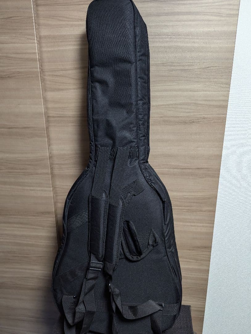 James J-800A オール単板 上位モデル エレアコ ケース付き