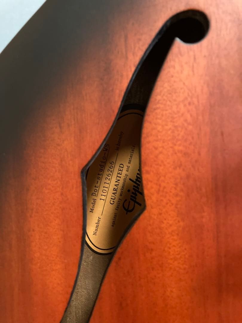 Epiphone by Gibsonエピフォン dot studio WS