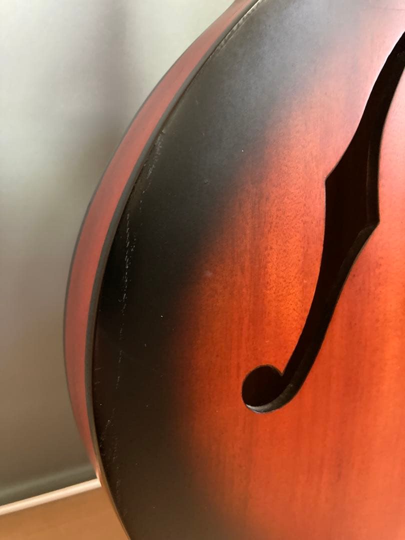 Epiphone by Gibsonエピフォン dot studio WS