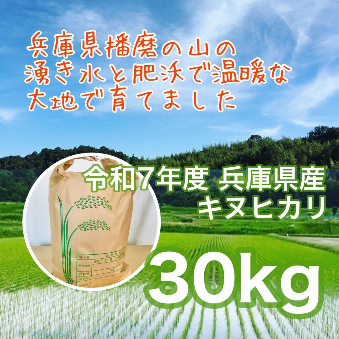 新米★山の湧き水で育てた農家のお米兵庫県産キヌヒカリ 30kg
