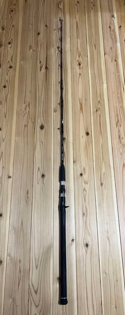 ジギング　天龍 ジグザムバージョン3 JZVIII スピニング　ベイト2本セット