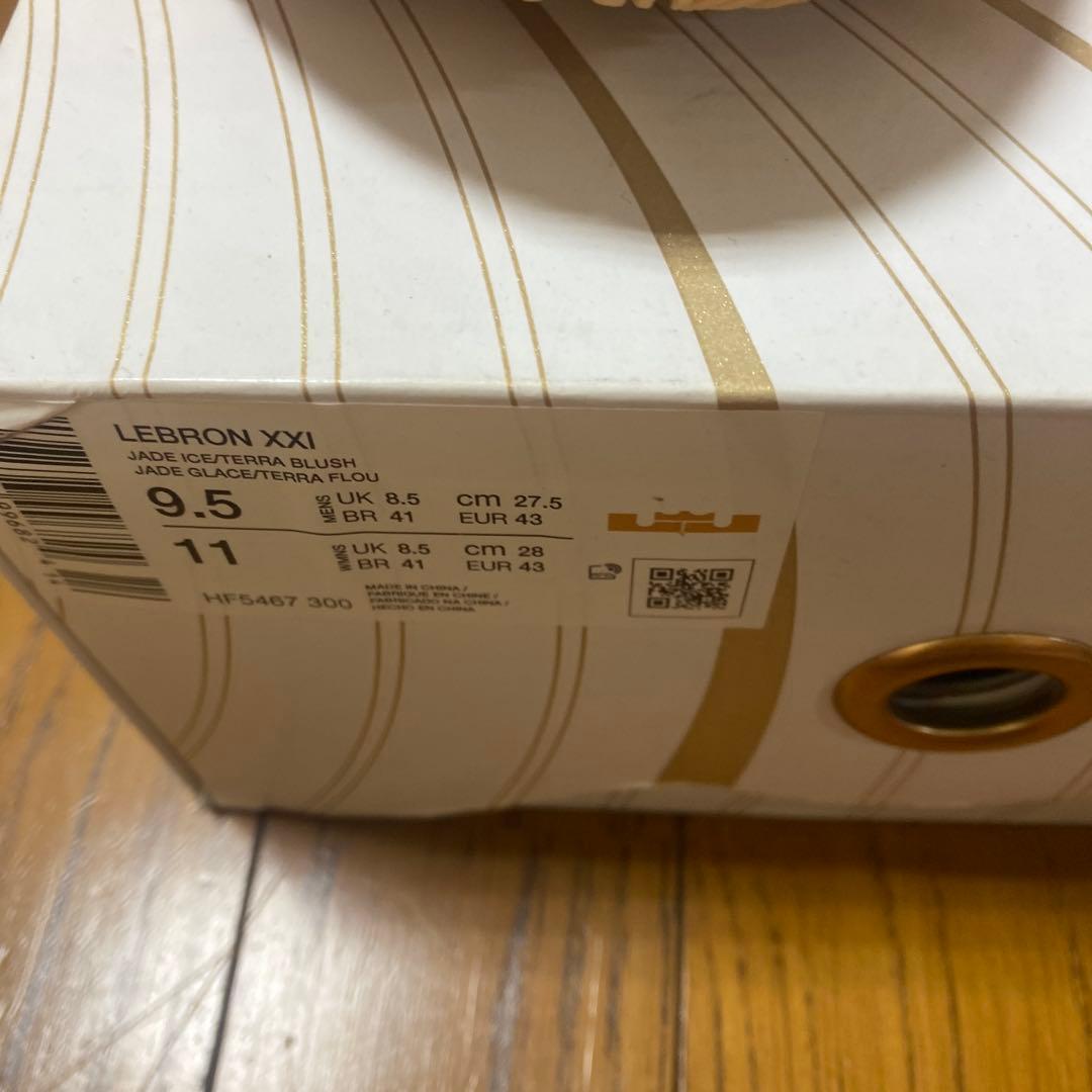 LEBRON XXI 9.5 ジョーダン　コービー　カイリー　海外限定カラー