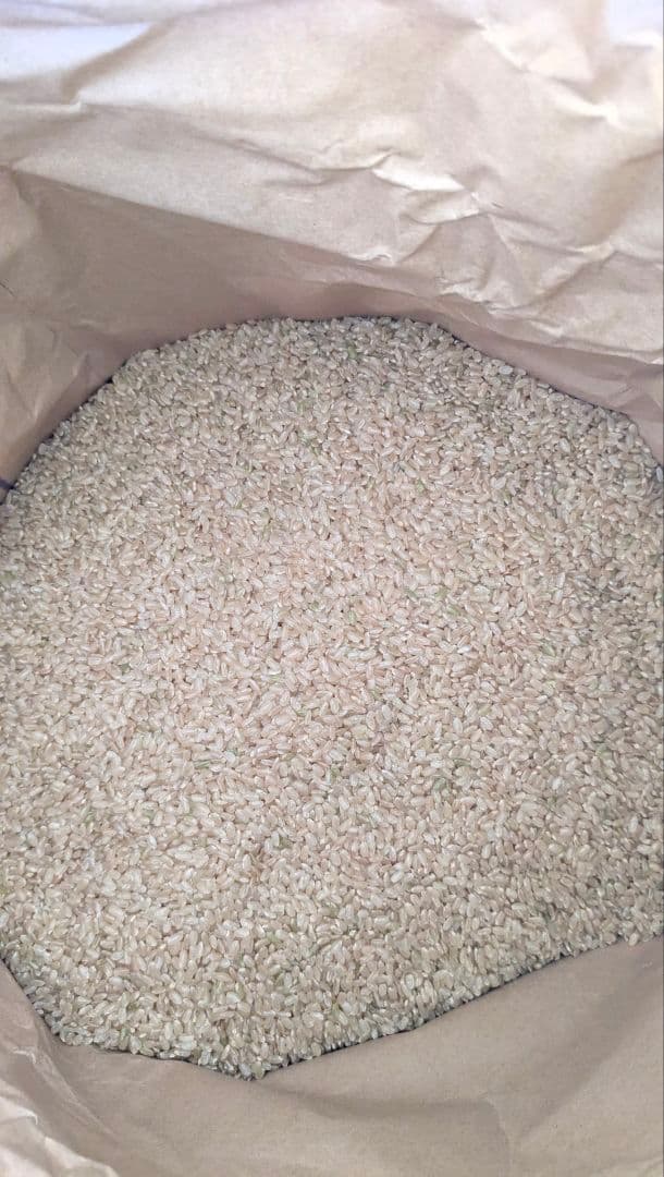 令和7年　ひとめぼれ宮城県産　30kg