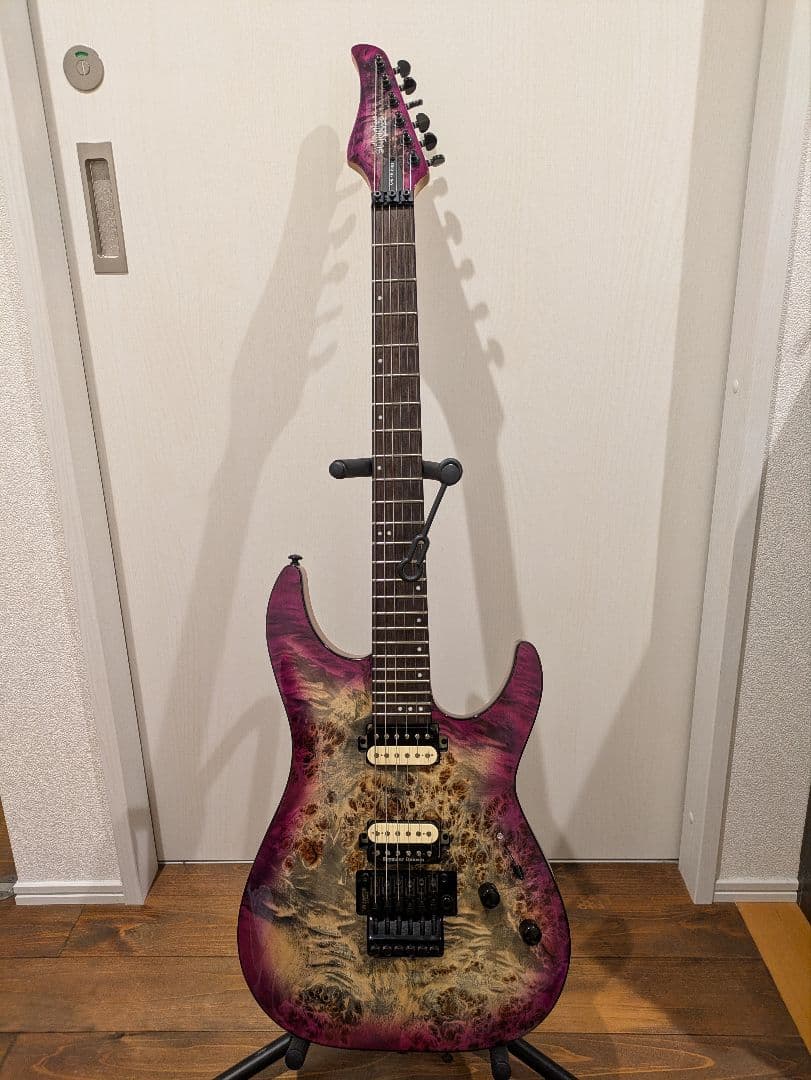 ★限定生産　SCHECTER　AD-C-6-FR-PRO　ARB 改★
