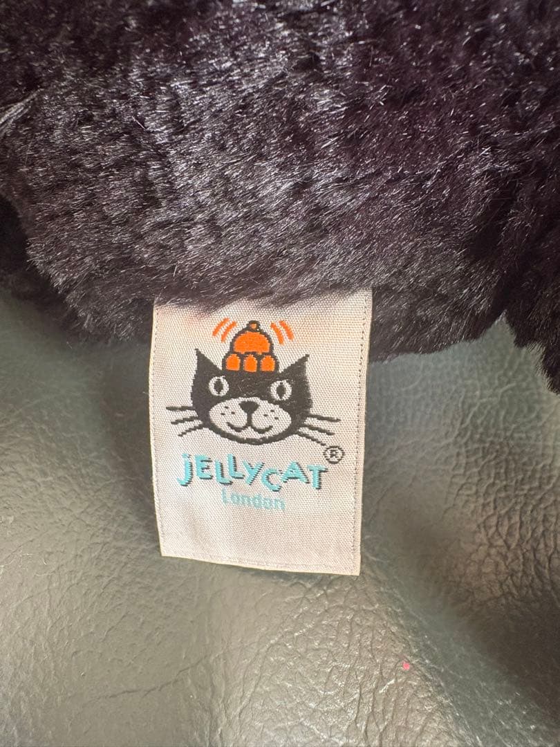 ／ジェリーキャット