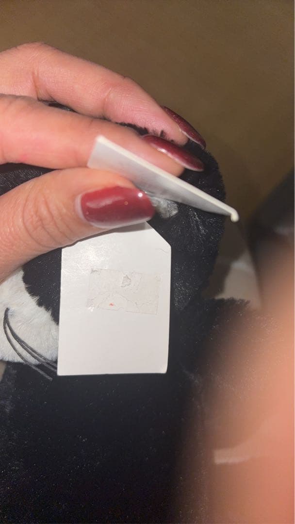 ／ジェリーキャット