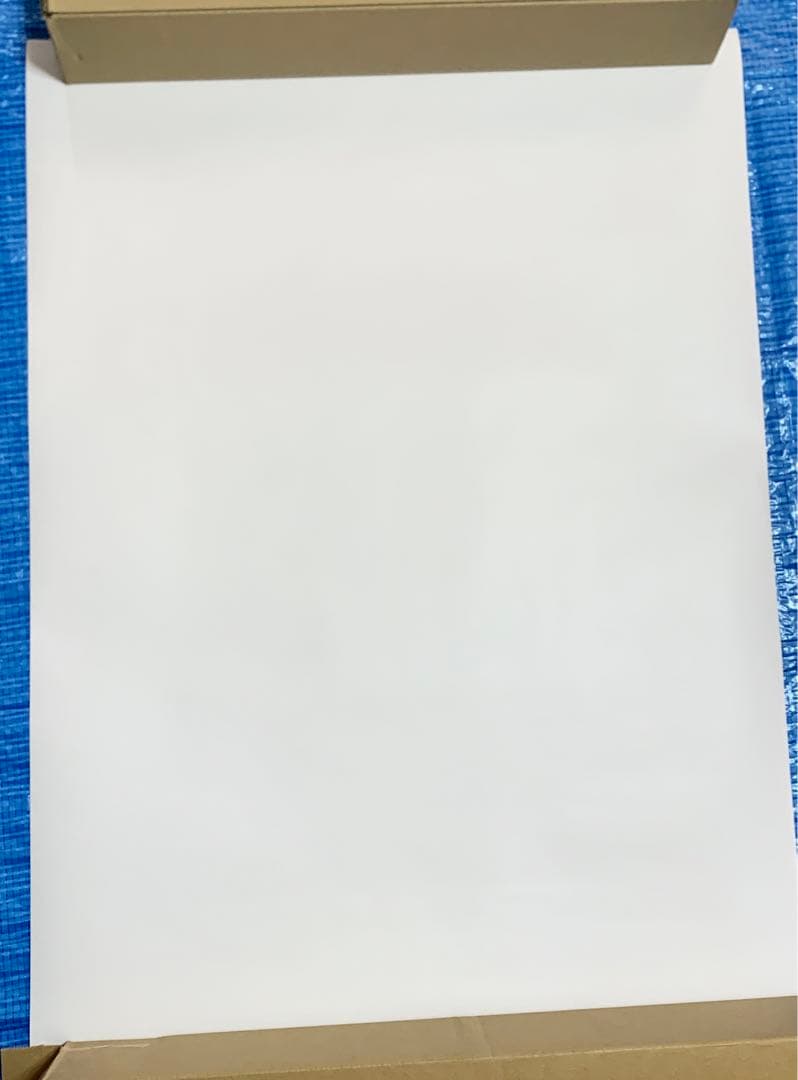 喧嘩独学 ポスター 声優 直筆 サイン入り 非売品 ファイルーズあい 青山吉能