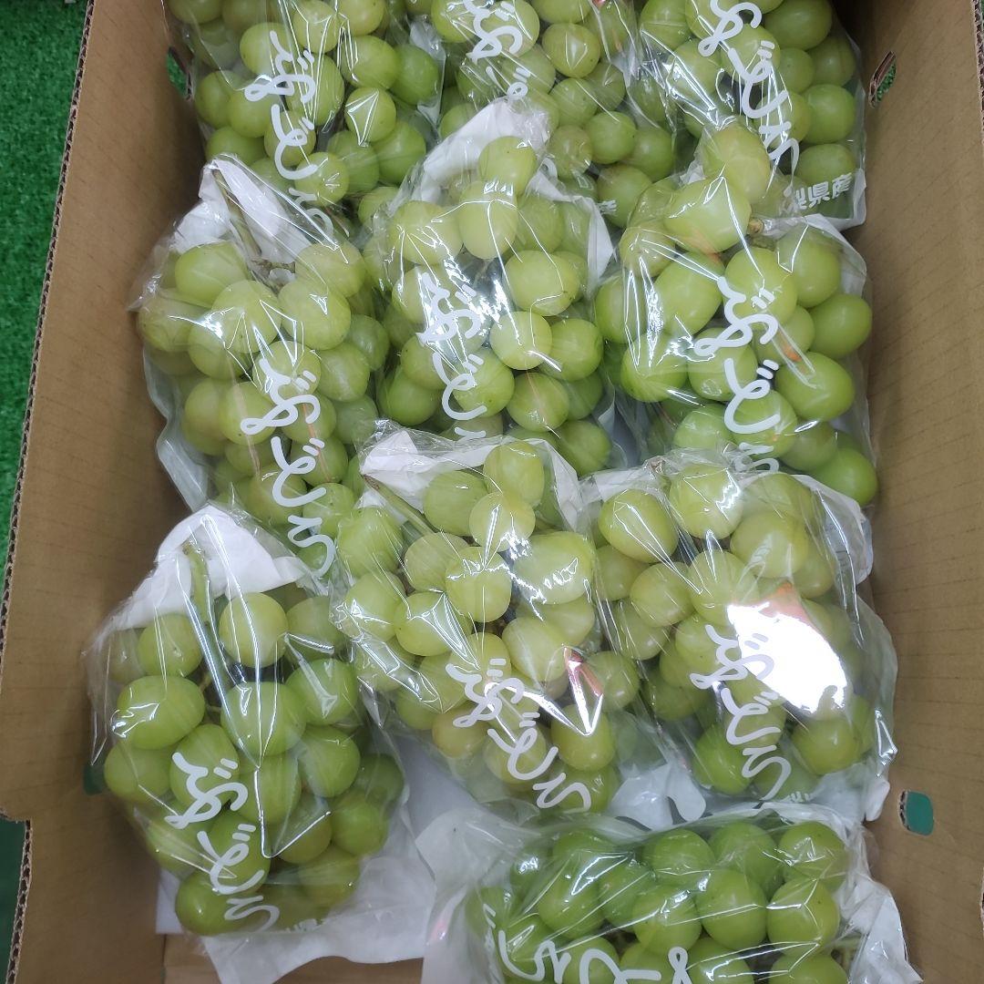 9️⃣ 山梨県産 シャインマスカット １０房入り 箱込み5.5キロ